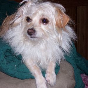 Meet your Posher, Lynne